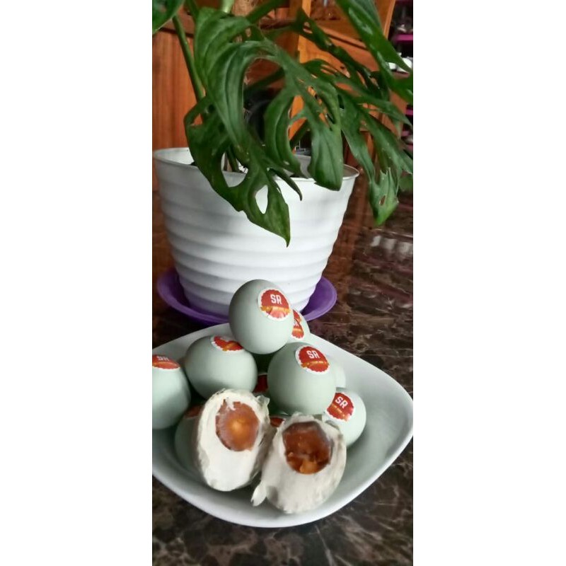

TELUR ASIN SR SUMBER REZEKI