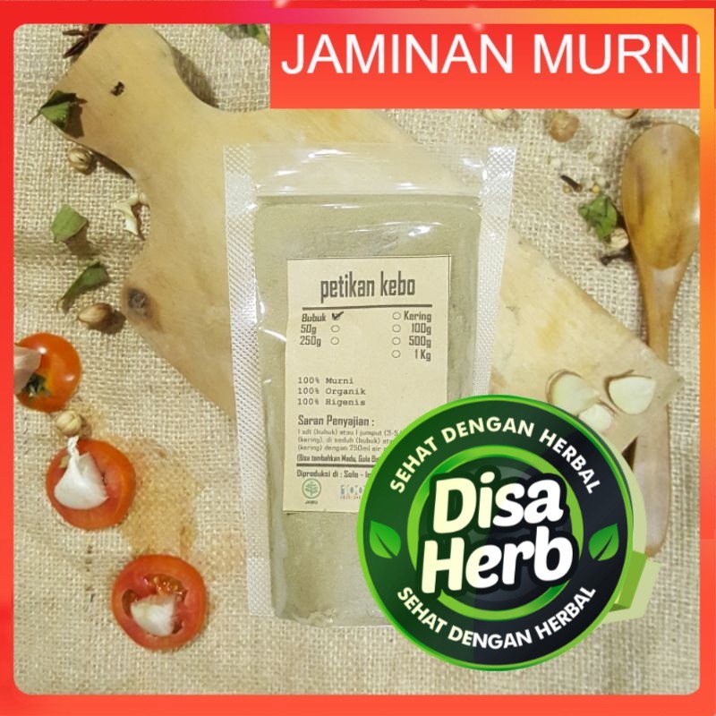 

PETIKAN KEBO BUBUK 100 Gram - Euphorbia Hirta - MURNI - JSR - REMPAH - PREMIUM QUALITY