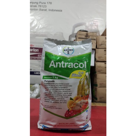 ANTRACOL 70 WP 1 KG