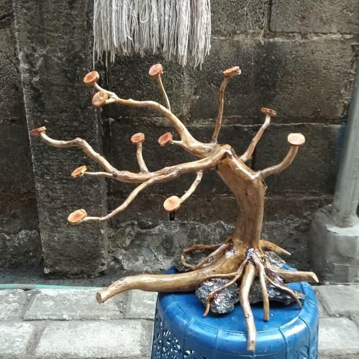  Bonsai  Akar  Terbaru Cahunit com