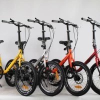 SEPEDA MINION BNB VICKY 7 SPEED SHIMANO DISC BRAKE 20 inch