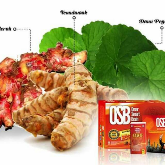 OSB vitamin otak