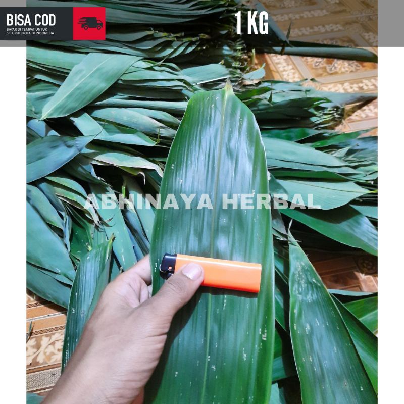 

Daun Bambu segar - Daun bambu Besar Khusus Bakcang 1kg