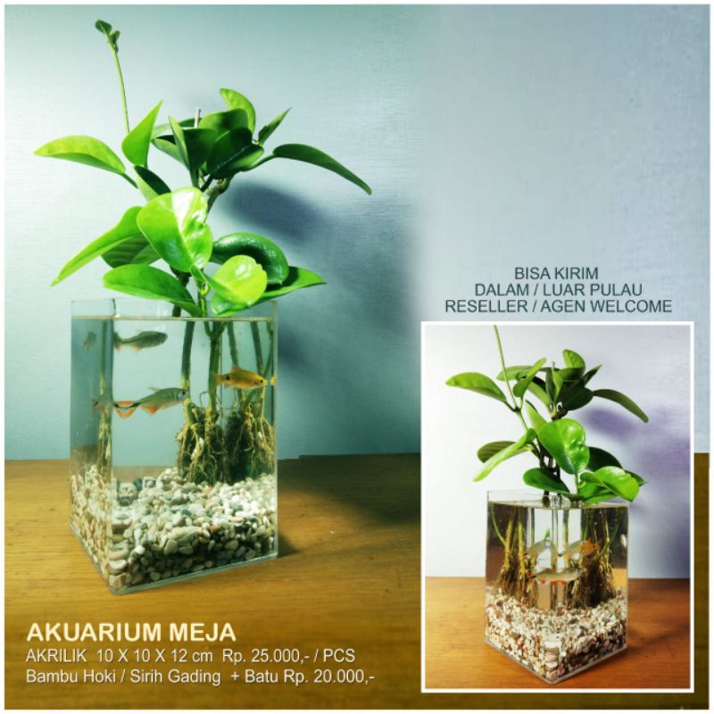 Akuarium meja akrilik
