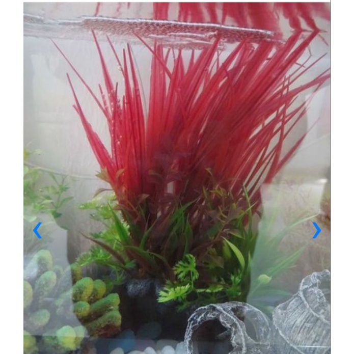 AQUARIUM PLASTIC PLANT MIXED COLOR 203 Tanaman Hias Akuarium Warna Warni Ukuran 18 x 10 x 30 cm plus Dasar Batu Karang