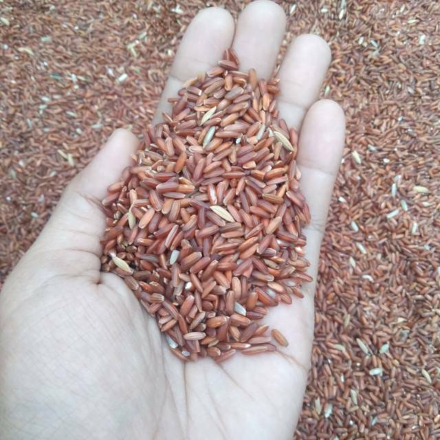 

Beras Merah pandan wangi