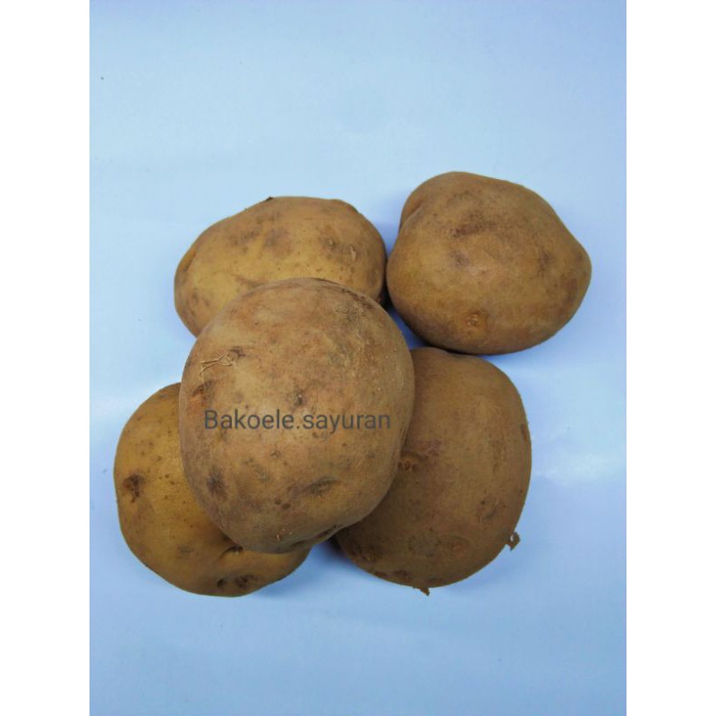 

KENTANG KUNING SAYURANG SEGAR FRESH 500 Gram