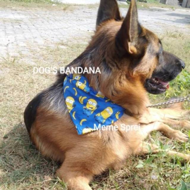 Bandana Anjing | Dog Bandana | Pet Scraf | Dog Cat Scarf