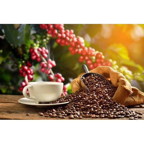 

NESCAFE CLASSIC SACHET KOPI NESCAFE