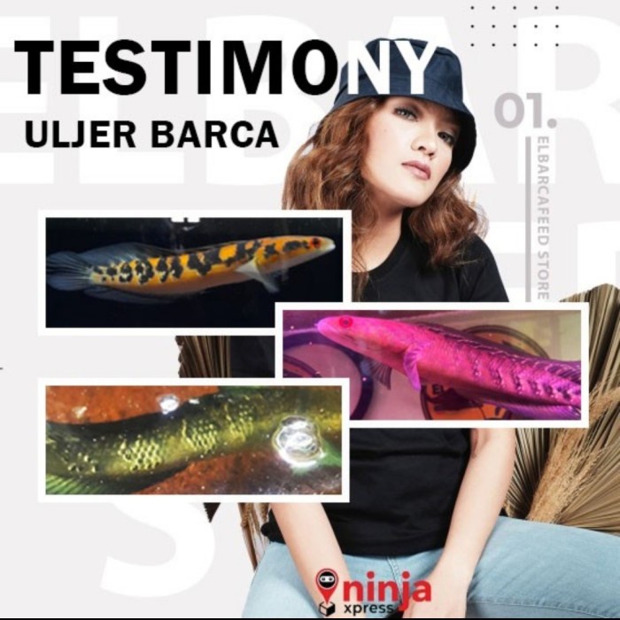 ULJER BARCA Ulat Jerman El BARCAFEED Hi Growth Super Booster 40 Gram