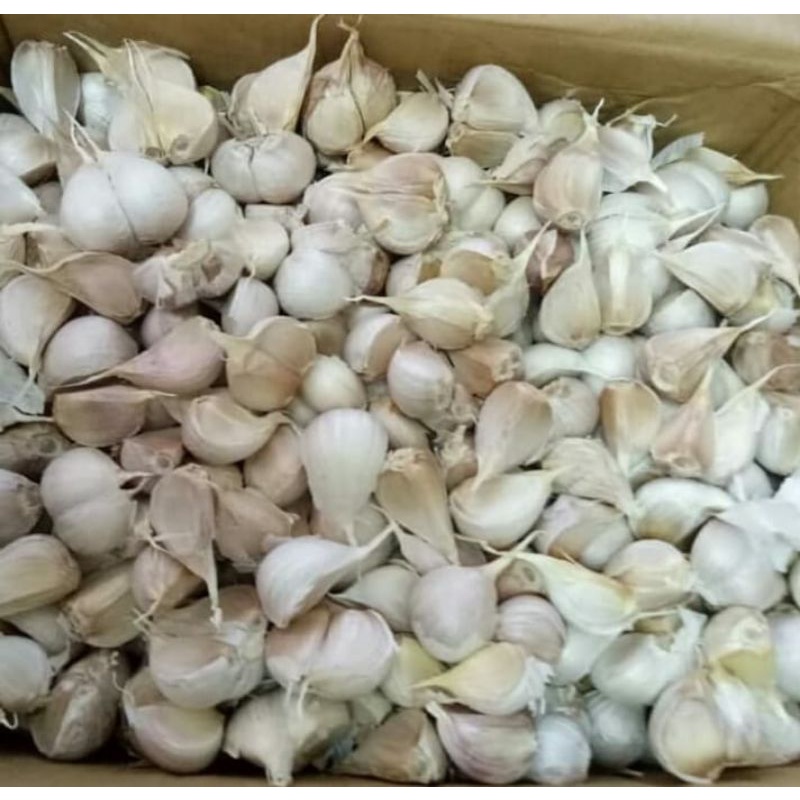 bawang putih kating 500gr