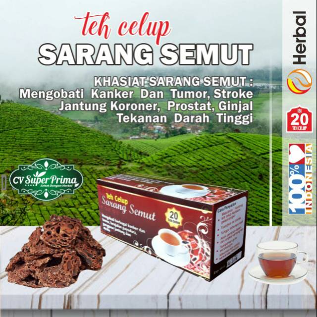 

TEH CELUP HERBAL SARANG SEMUT