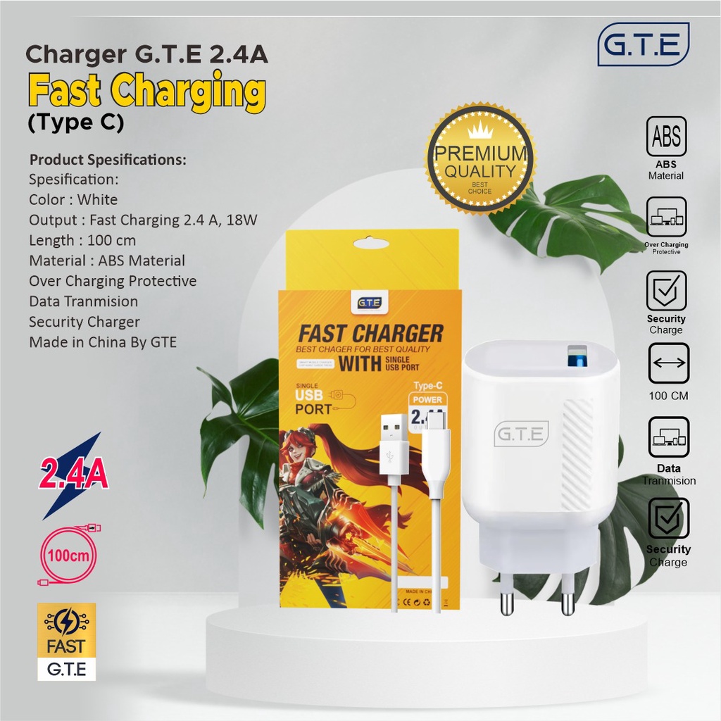 Charger GTE Fast Charging / Charger Hulk USB Micro / Charger Lila Tipe C