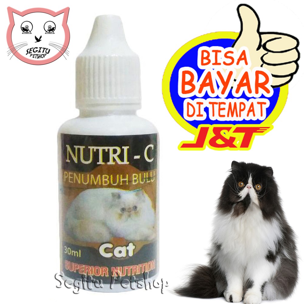 Vitamin Penumbuh Bulu Kucing Rontok Botak Pitak Nutri - C