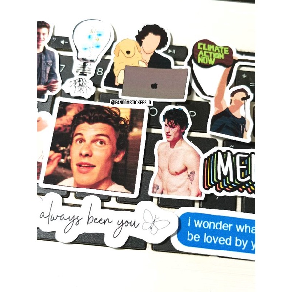 

[ready] STICKER TUMBLR SHAWN MENDES