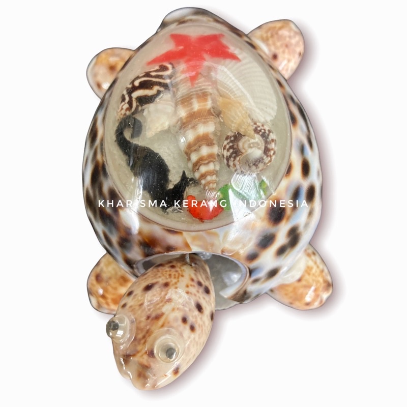HIASAN KERANG LAUT KERAJINAN KERANG SEASHELLS ORNAMENT BY KHARISMA KERANG INDONESIA