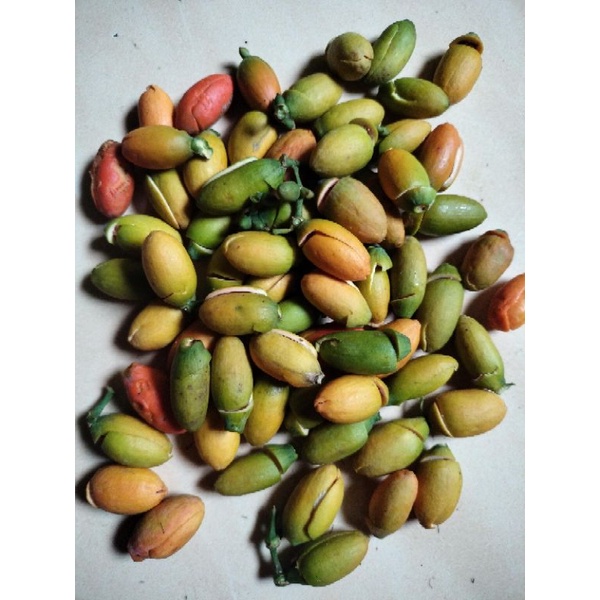 

1 kg kulit melinjo mentah
