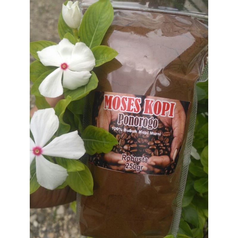 

Moses Kopi