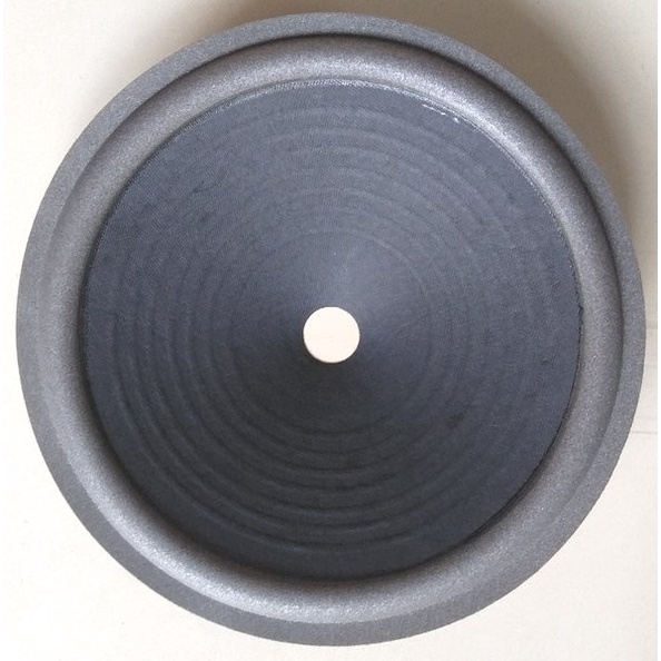 Cone & Spoon Speaker 10 inch Lubang kecil for Audio speaker Part