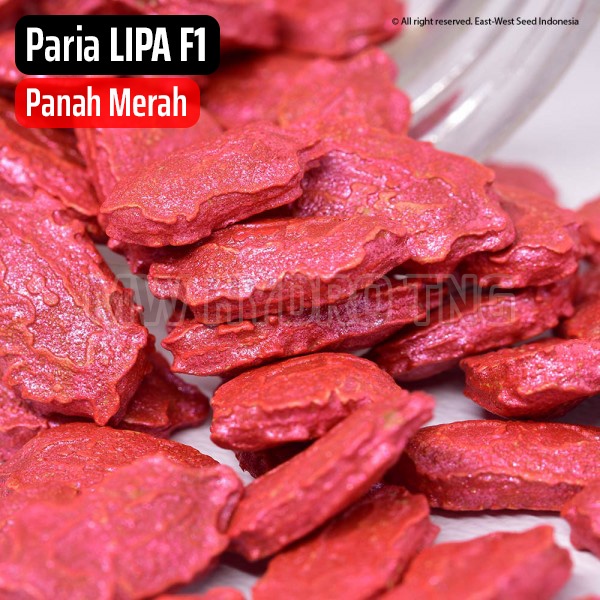 Benih Panah Merah, Paria LIPA F1 - East West Seed