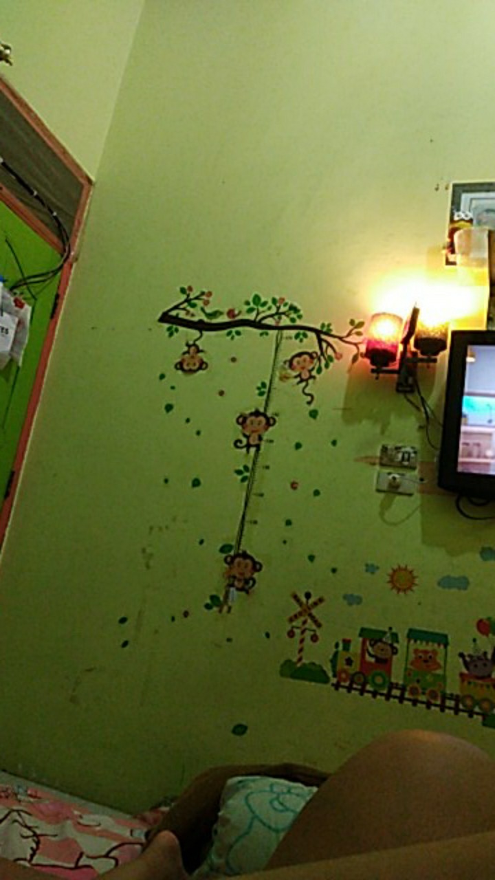 Home-klik  Tritan Water Bottle With Fruit Infuser - Random