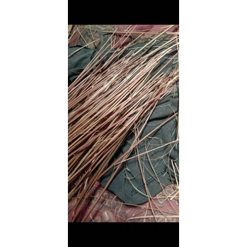 biting layang layang