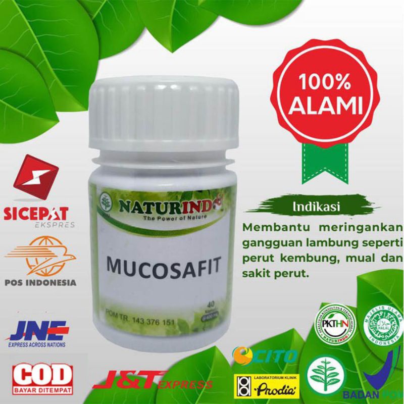 OBAT LAMBUNG DAN PENCERNAAN NATURINDO MUCOSAFIT