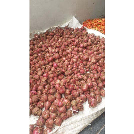 

bawang merah batu bandung