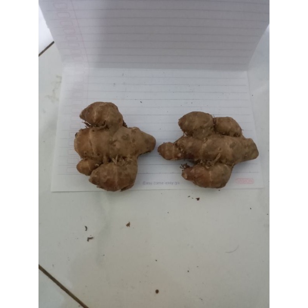 

KENCUR SUPER HARGA MURAH 250gram