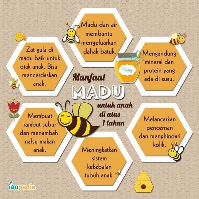 Madu murni asli pure raw honey madu asli madu 1kg