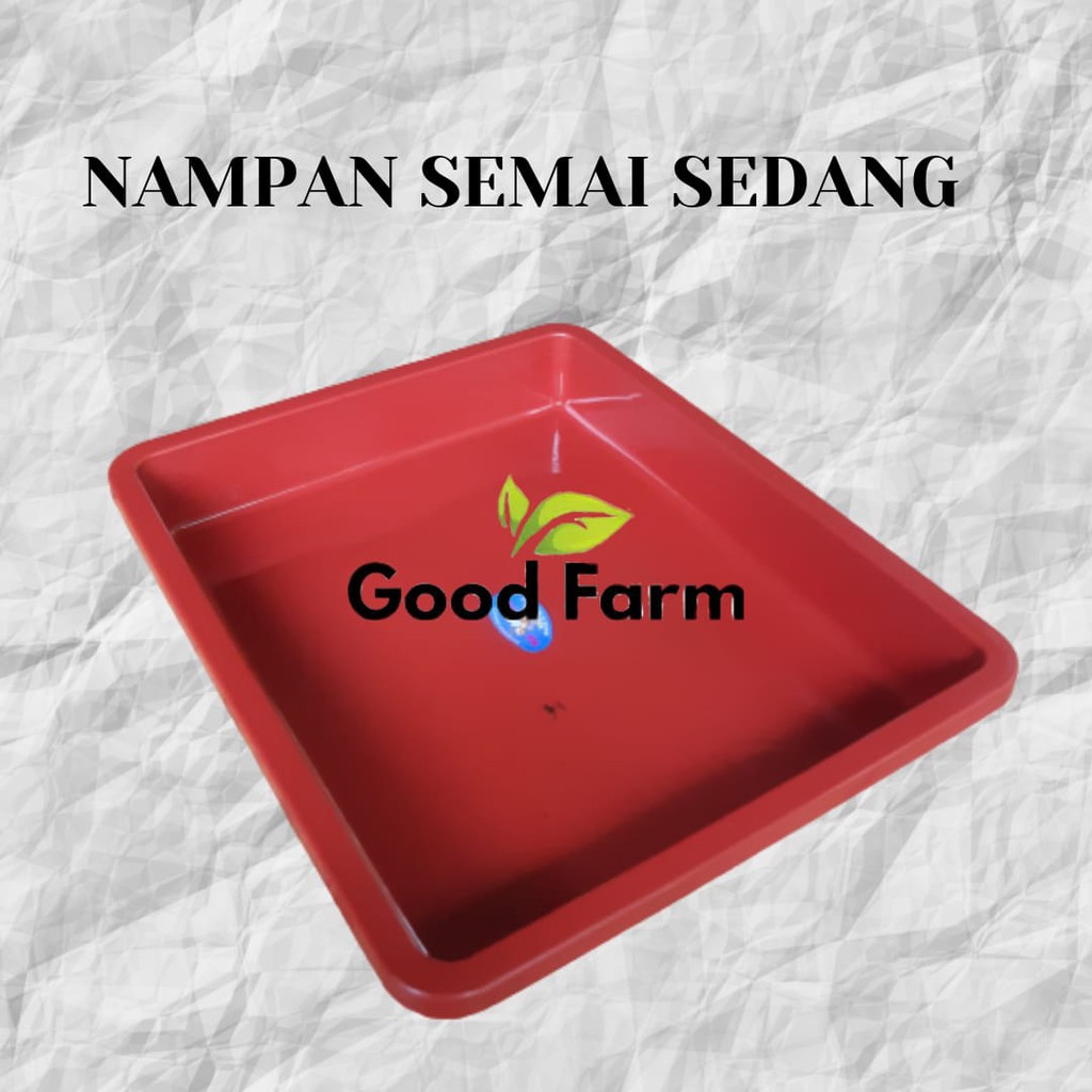 NAMPAN SEMAI UKURAN SEDANG // NAMPAN SERBAGUNA