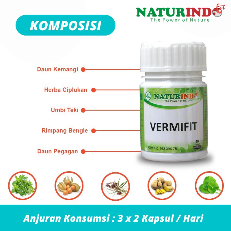 Vermifit Obat Herbal Vertigo Sakit Kepala Migrain Pusing Kapsul Naturindo Bisa Cod-2