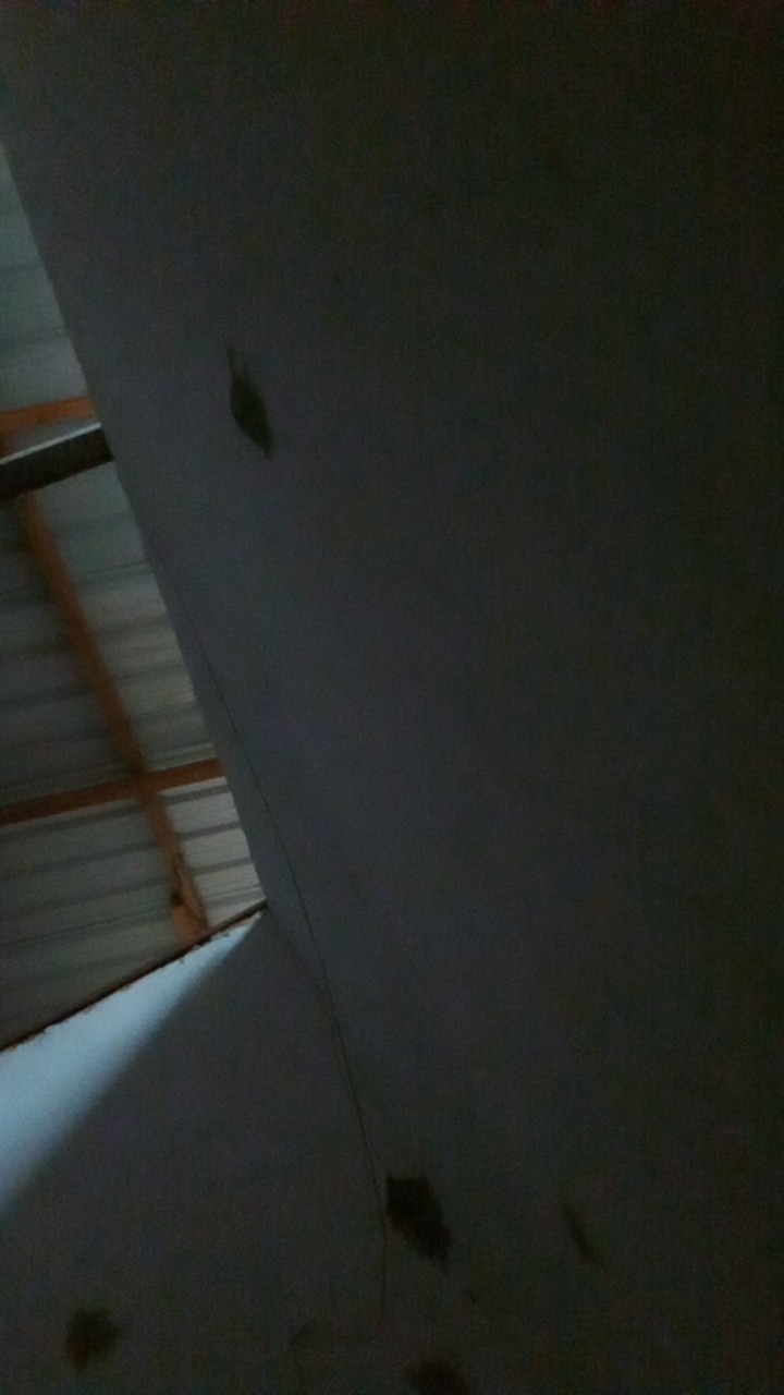 Botol Pet 60 Ml Fliptop Natural  (tutup 3 Varian Warna)