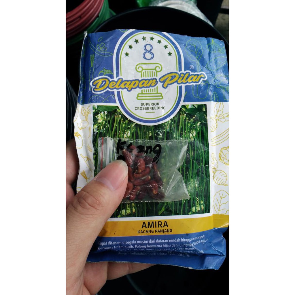 

UNIK Benih/Bibit Sayur Kacang Panjang Amira Delapan Pilar 2 SEPTEMBER
