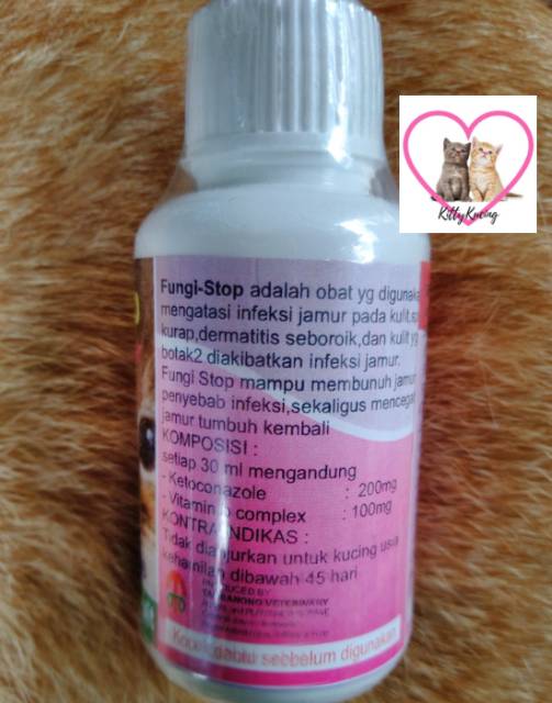 Obat Infeksi Jamur Kucing FUNGI STOP