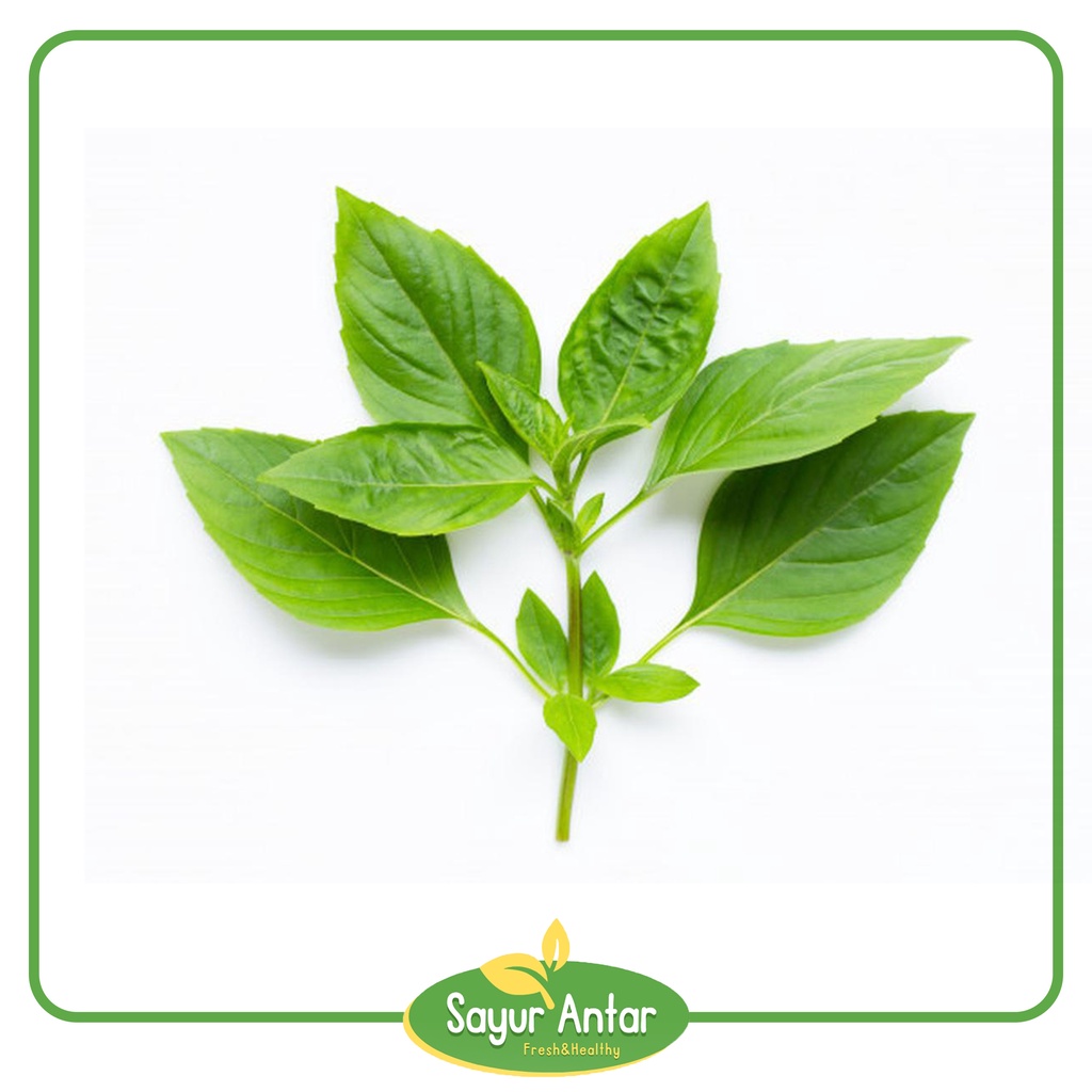 

Daun Kemangi 1 Ikat | Sayur.Antar | Free Ongkir Bandung Cimahi