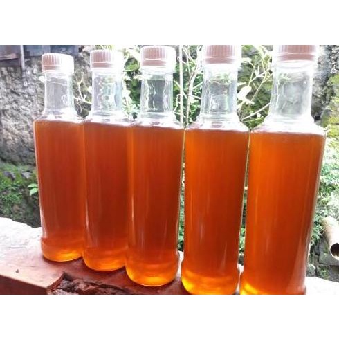

PROMO MADU ASLI MULTIFLORA MURNI CURAH MURAH