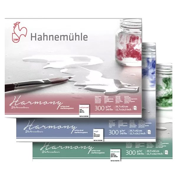 

HAHNEMUHLE W/C HARMONY A4 12 SH 300 GSM (ROUGH/ HOTPRESSED/ COLDPRESSED)