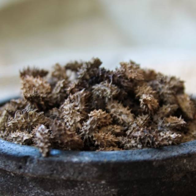 

Kayu Anyang Anyang kering herbal kwalitas super 50gr