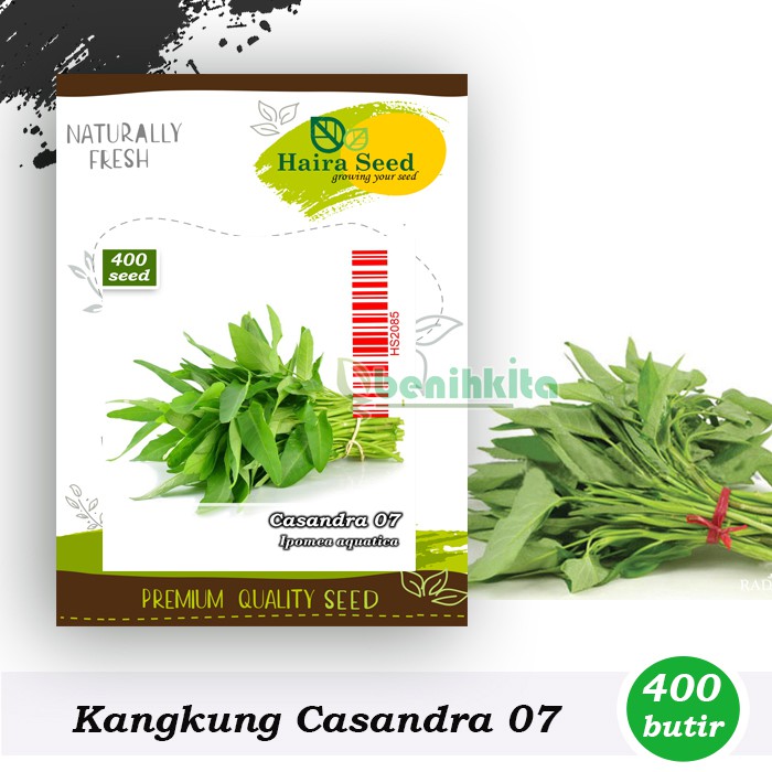 Benih-Bibit Kangkung Casandra 07 (Haira Seed)