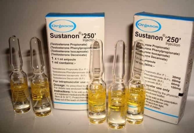 Sustanon 250 Injection Shopee Indonesia