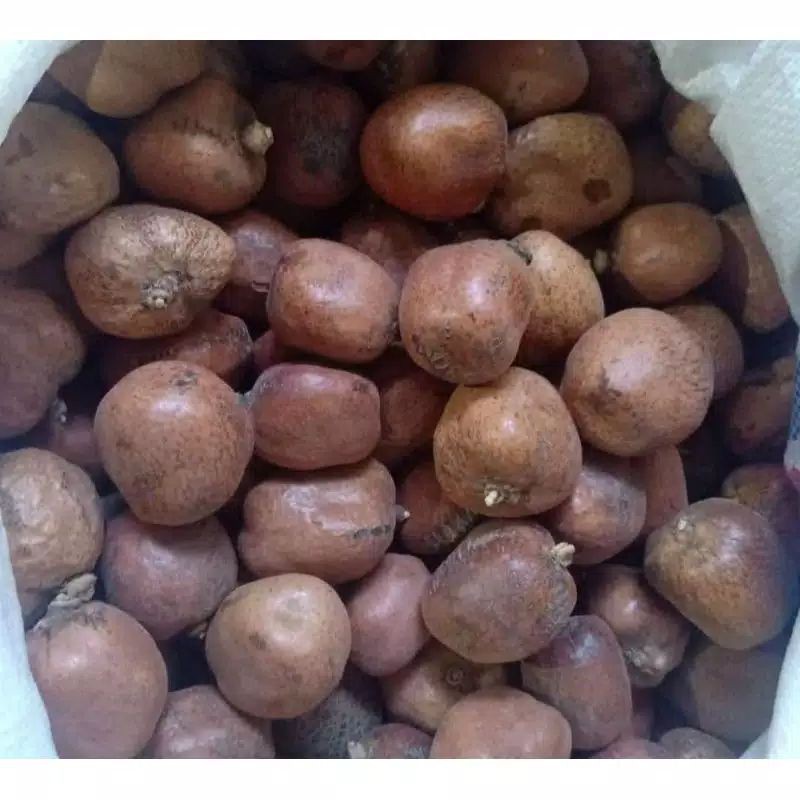 Buah Zuriat Mesir Belah 1Kg / Buah Zuriyat Mesir 1 Kg / 1000 Gram Promil Pekanbaru