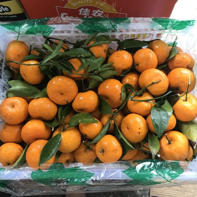 

Buah Jeruk Santang/Shantang Daun Manis Mandarin /jeruk Kecil Imlek 7kg [[[TERBARU BISA COD]]]