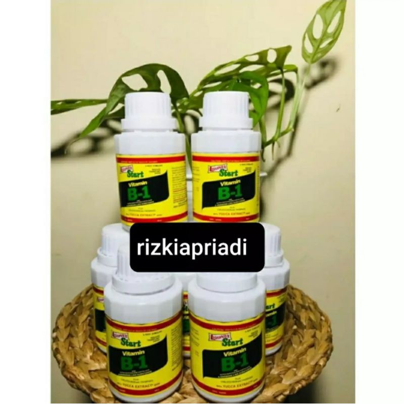 Vitamin B1 Tanaman 100ML Liquinox Star Anti Stres Tanaman