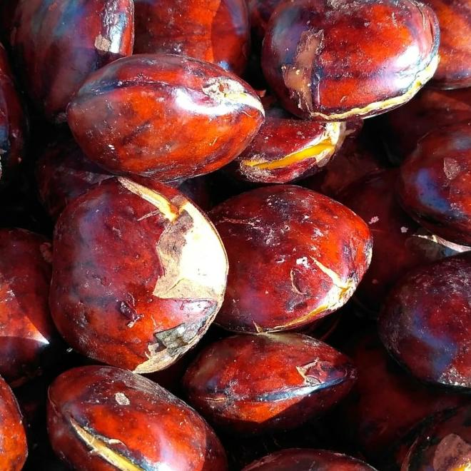 

Jengkol - Menu Instan