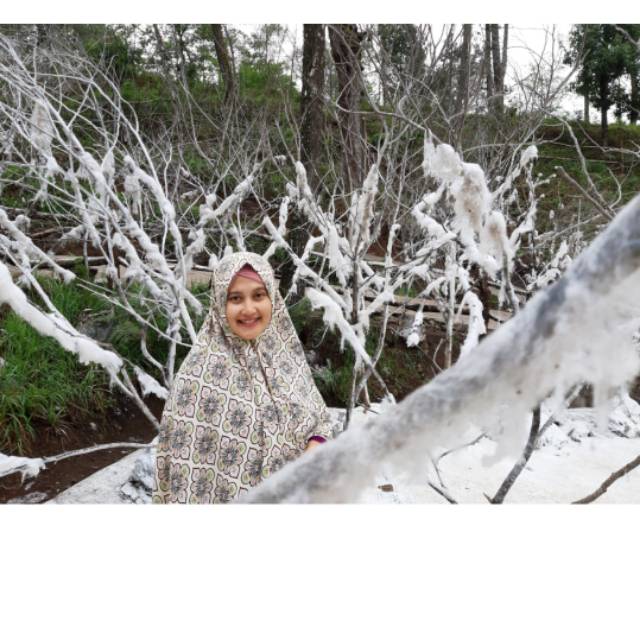 dewipurnomowati