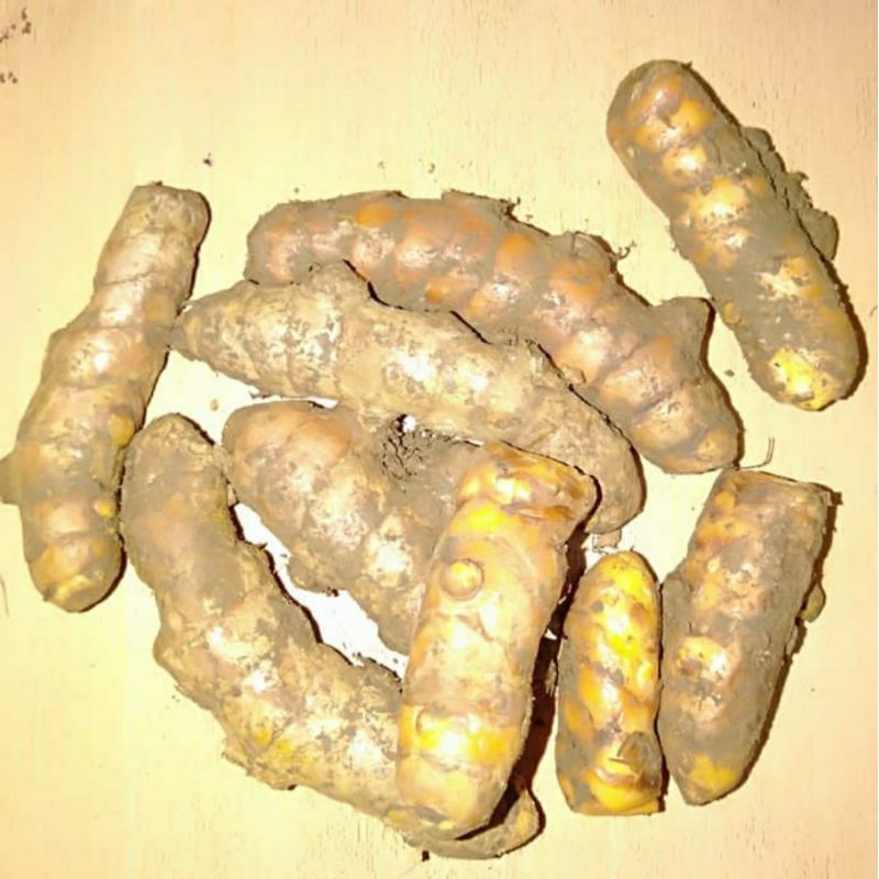 

kunyit kuning 250gram