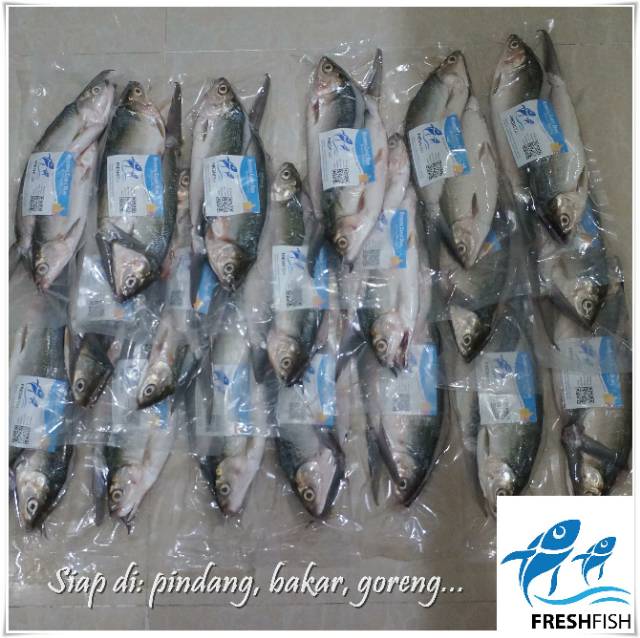 

Ikan Bandeng Cabut Duri Fresh Fish