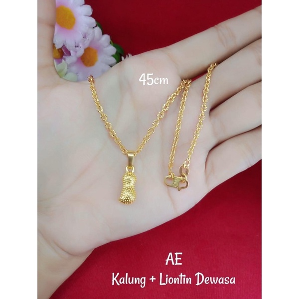 Kalung nuri ukir kacang / warna 24k