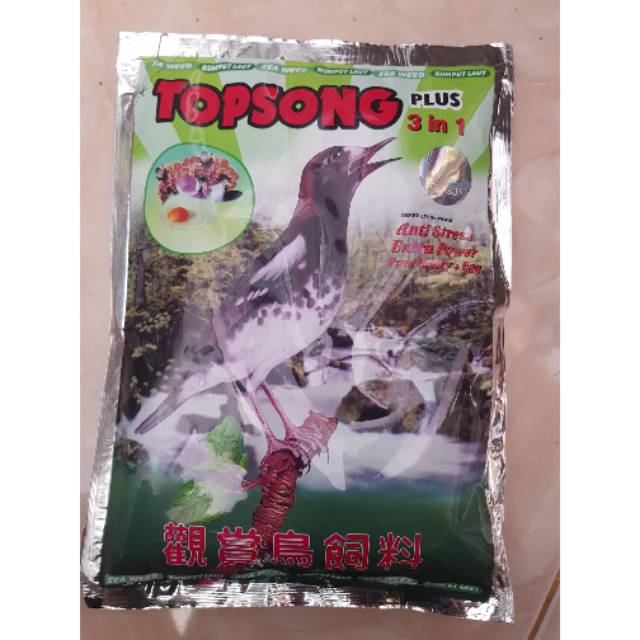 TOPSONG VOER COKLAT TOP SONG KUNING PUR PAKAN MAKANAN BURUNG OCEHAN MURAI KACER POCI BEOMURAI KACER 